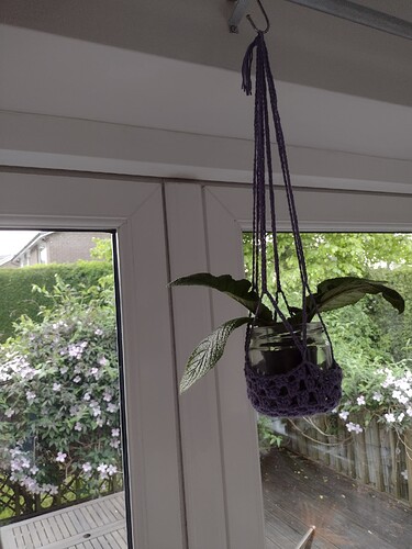 IMG_20220518_203049531