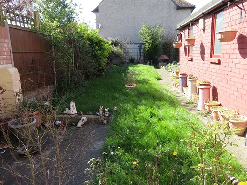 01 4th April 21 IMG_1182