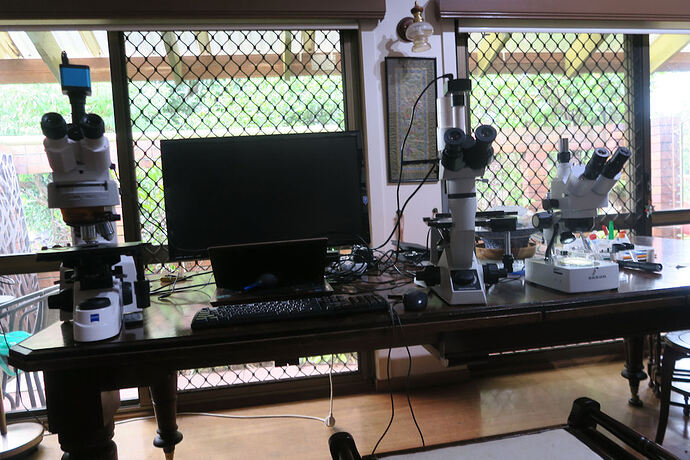 Microscopes