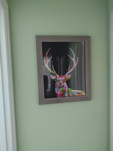 IMG_20220312_142452856