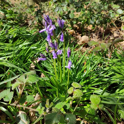 IMG_20240401_122815_789