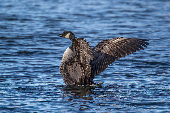 IMG_2023-12-04-231219