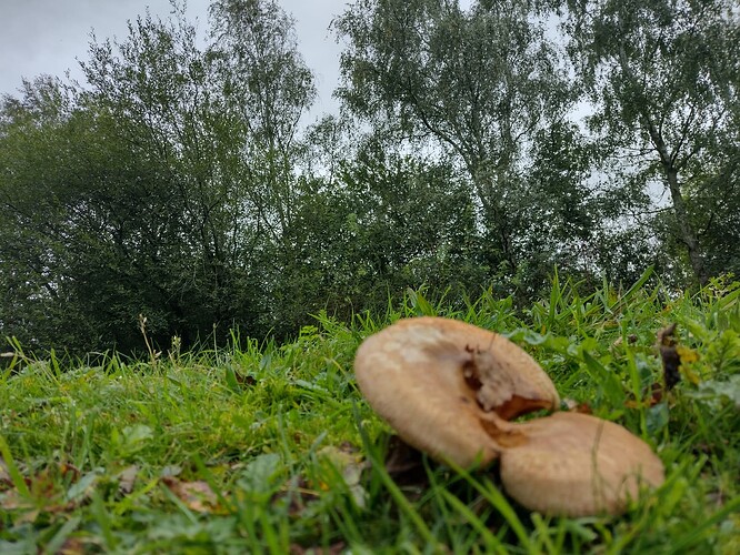 IMG_20231001_122810792_HDR