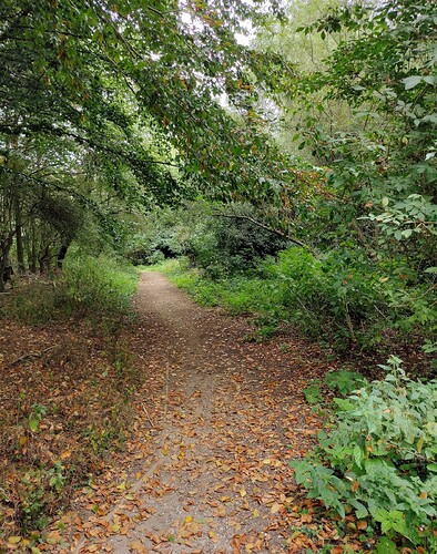 IMG_20230911_120906691~2