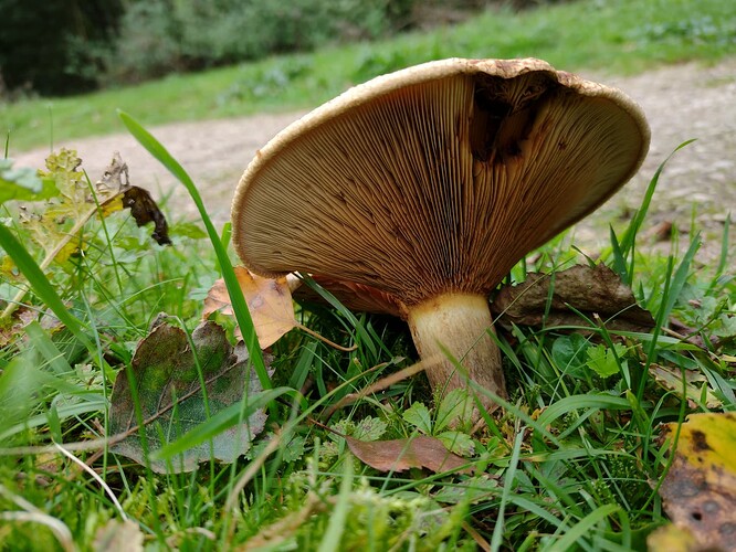 IMG_20231001_122908235