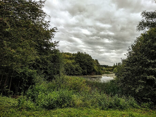 IMG_20230911_123547031_HDR~3