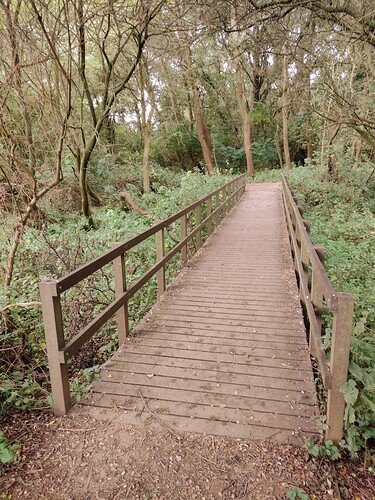 IMG_20230911_115007092~2