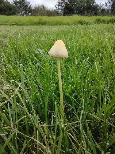 IMG_20231001_134405810_MP