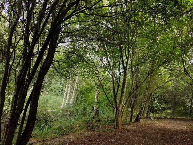 IMG_20230911_130907500